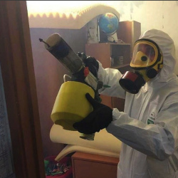 Уничтожение клопов в квартире. Находка